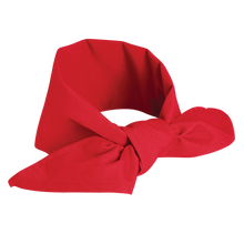 Load image into Gallery viewer, Red Kap NP12 Neckerchief
